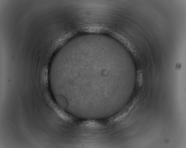 X0000100330589200806191109