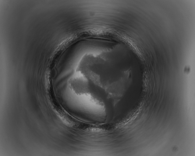 X0000100330590200806191109