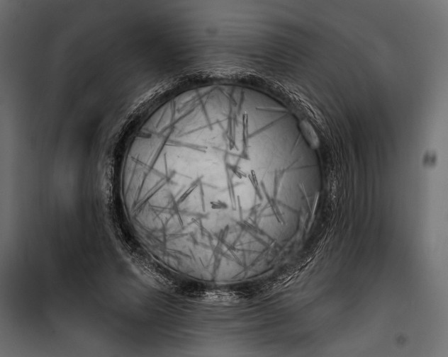 X0000100330591200806191109