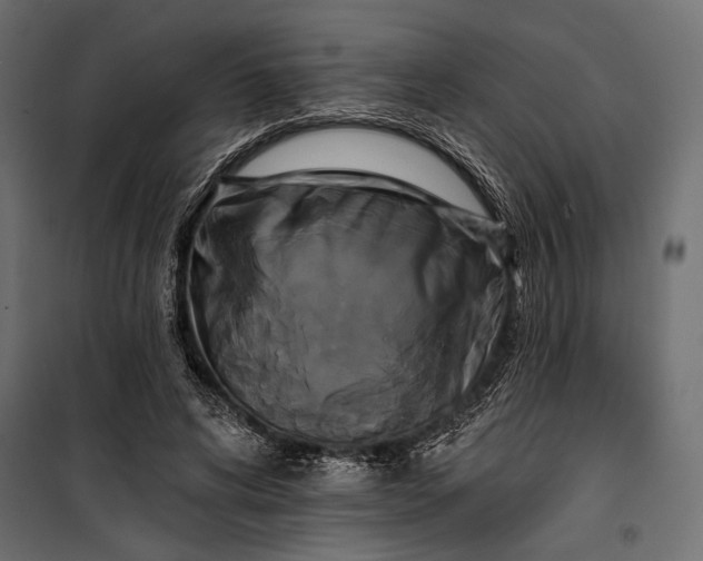 X0000100330592200806191109