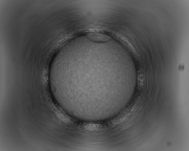 X0000100330593200806191109