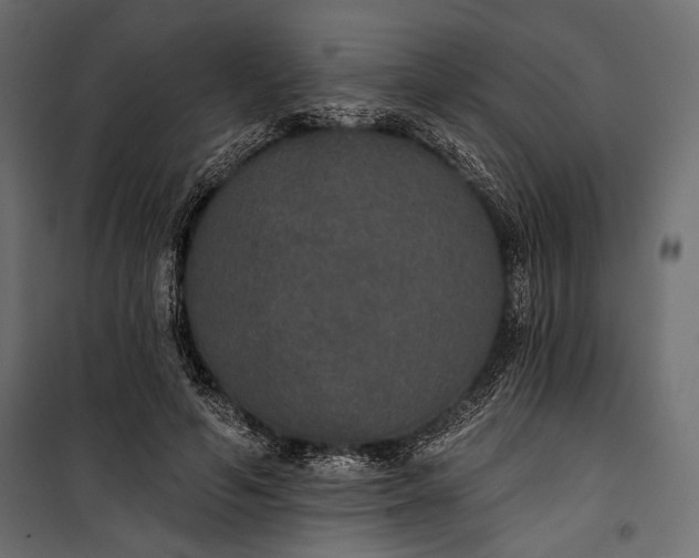 X0000100330594200806191109