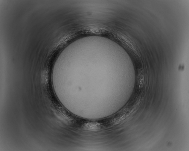 X0000100330595200806191109