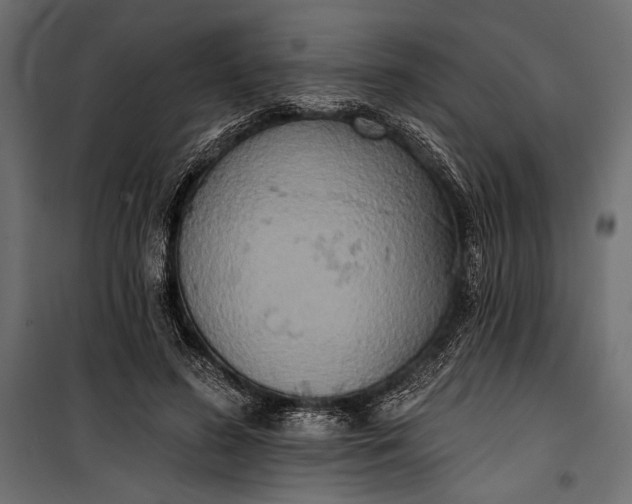 X0000100330596200806191109