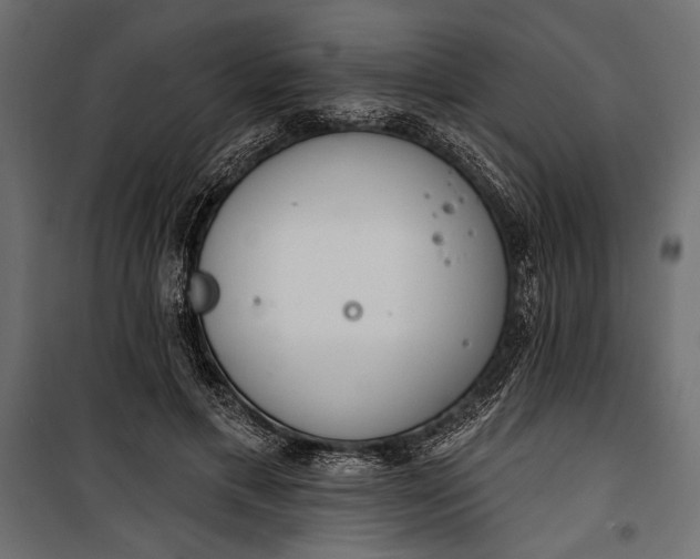 X0000100330597200806191109