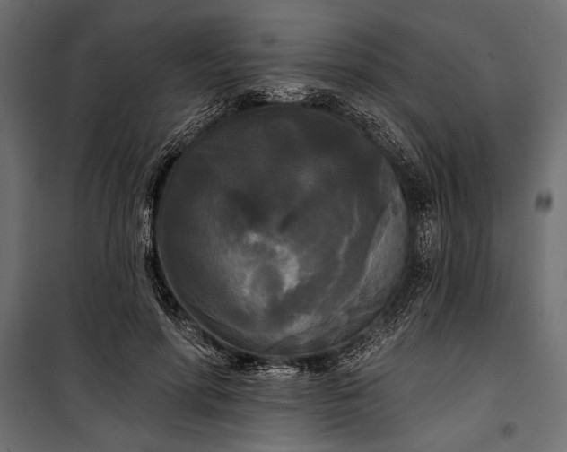 X0000100330598200806191109