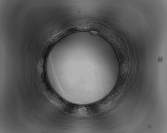 X0000100330600200806191109