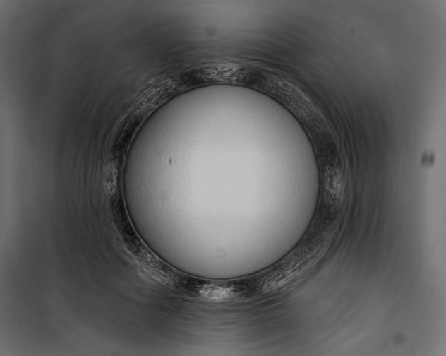 X0000100330602200806191109