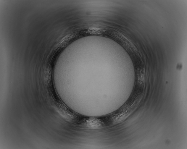 X0000100330603200806191109