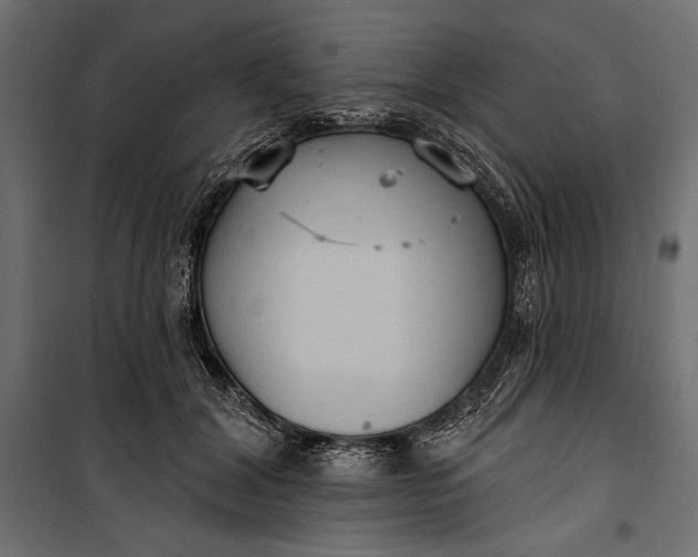 X0000100330604200806191109