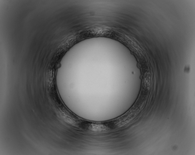 X0000100330605200806191109