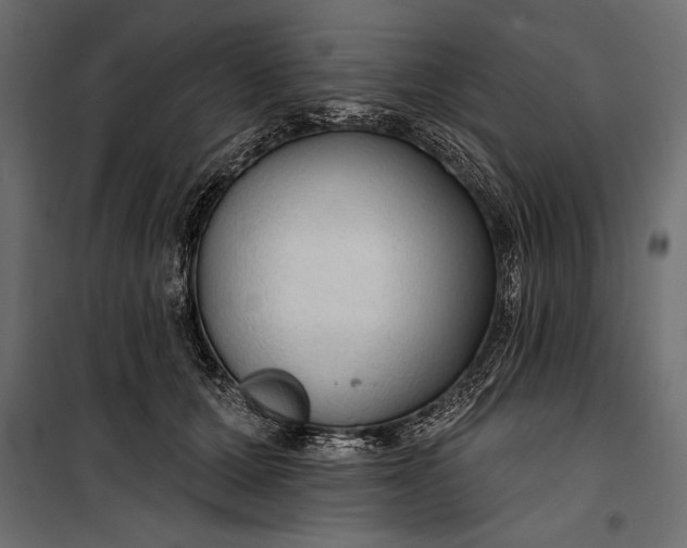 X0000100330607200806191109