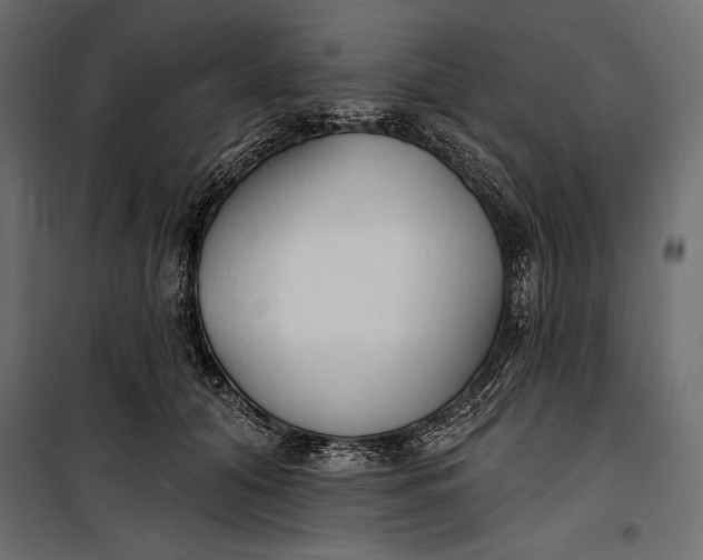 X0000100330608200806191109