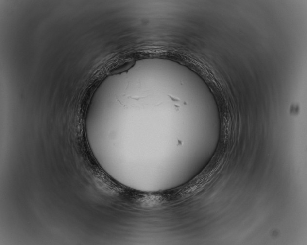 X0000100330609200806191109