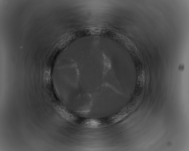 X0000100330610200806191109