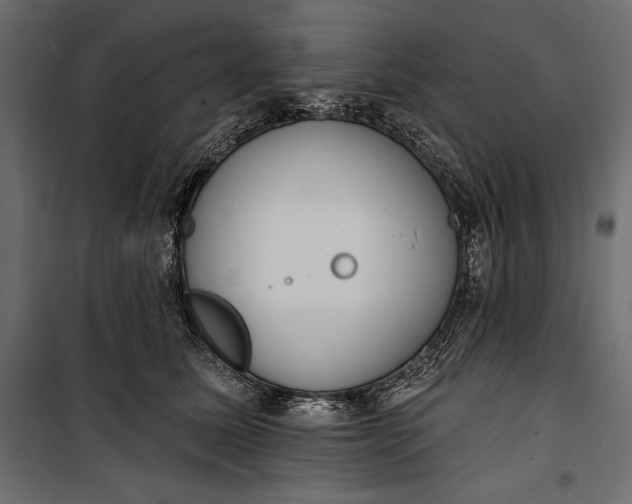 X0000100330611200806191109