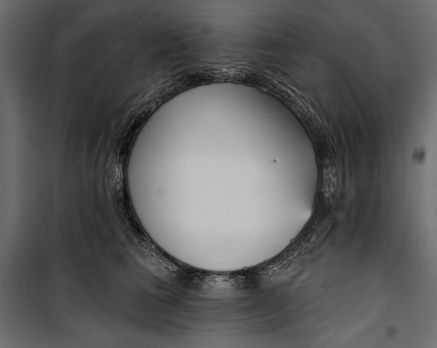 X0000100330613200806191109