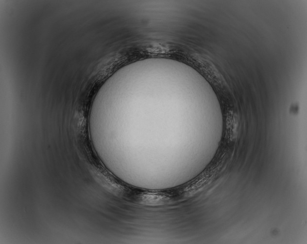 X0000100330614200806191109