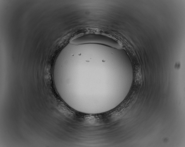 X0000100330616200806191109