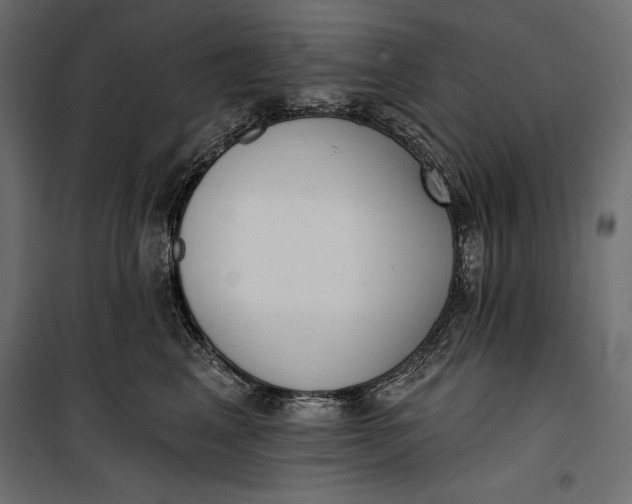 X0000100330617200806191109