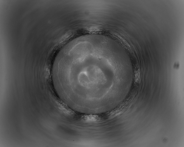 X0000100330618200806191109