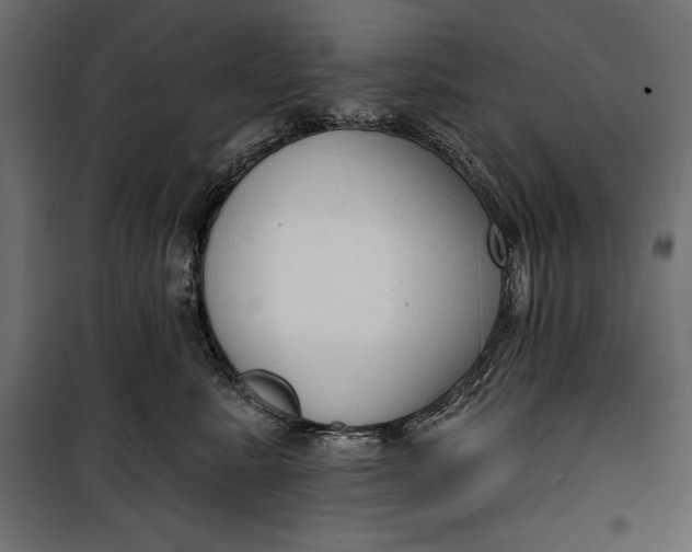 X0000100330619200806191109