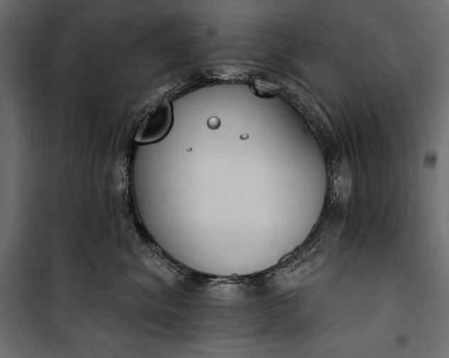 X0000100330620200806191109