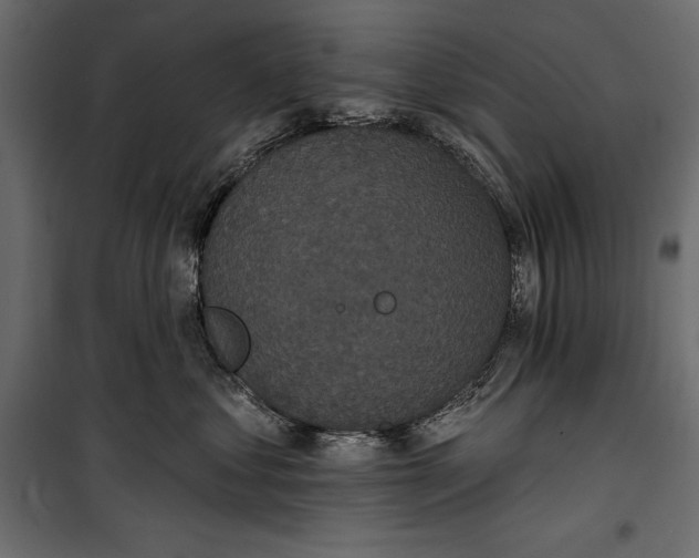 X0000100330621200806191109