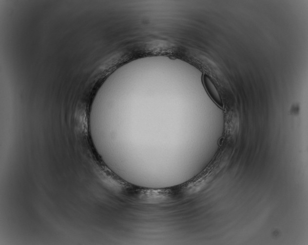 X0000100330622200806191109