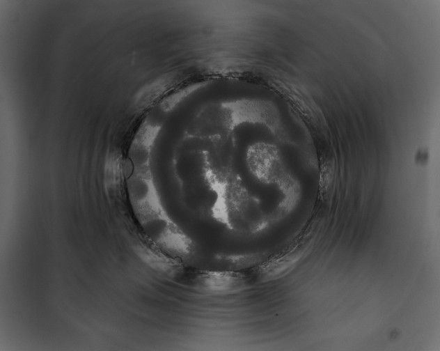 X0000100330623200806191109