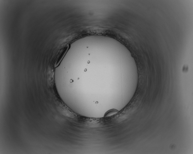 X0000100330624200806191109