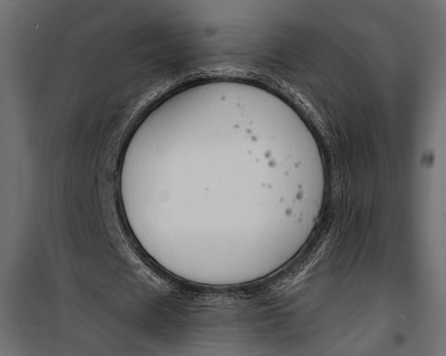 X0000100330625200806191108