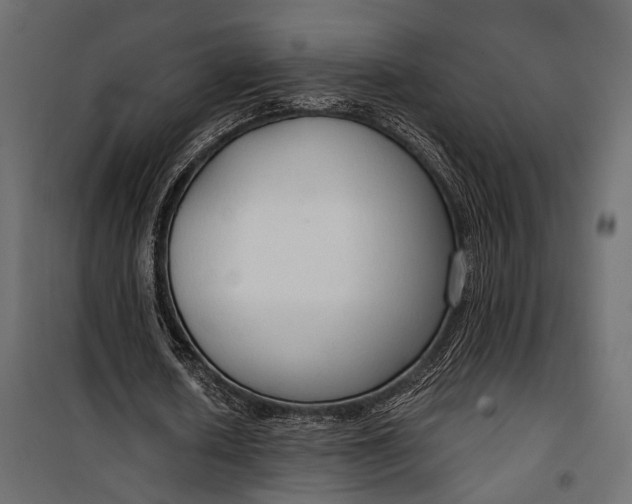 X0000100330626200806191108