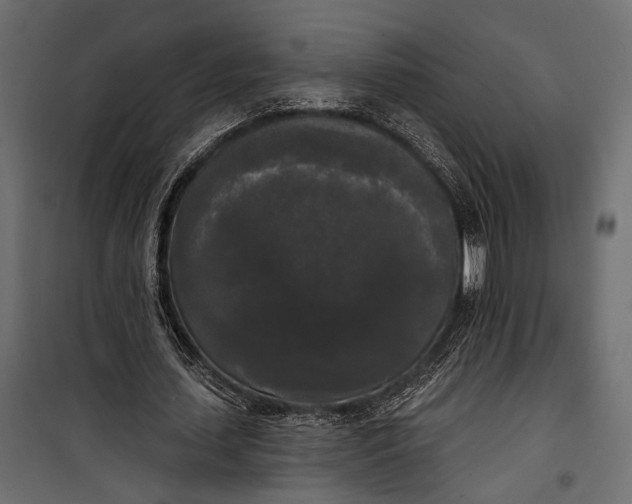 X0000100330627200806191108