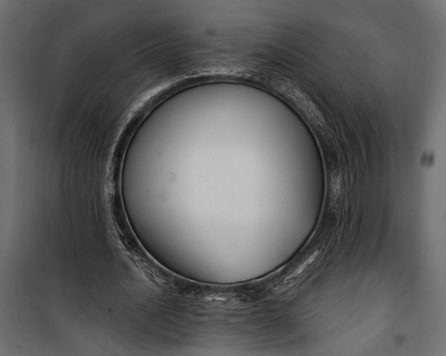 X0000100330628200806191108