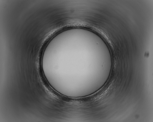 X0000100330629200806191108