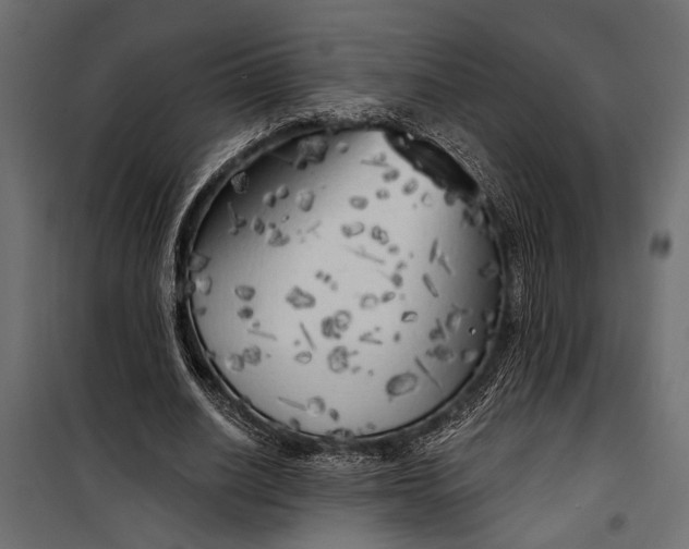 X0000100330630200806191108