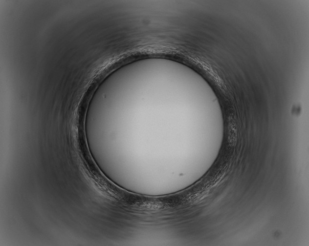 X0000100330631200806191108