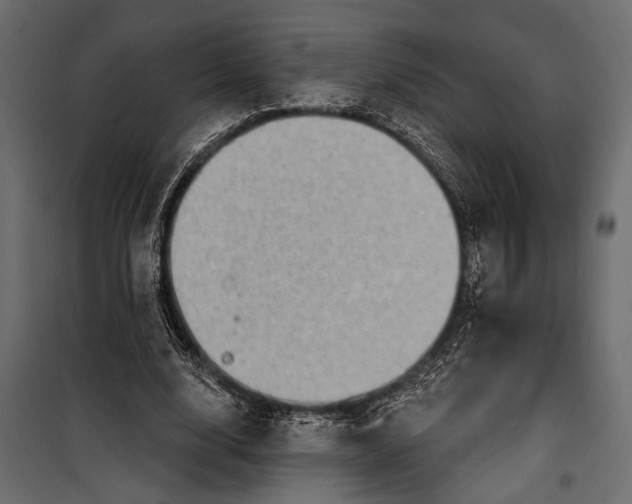 X0000100330632200806191108