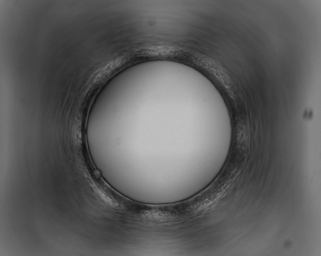 X0000100330633200806191108