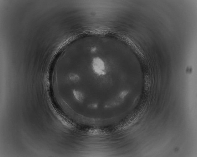 X0000100330634200806191108