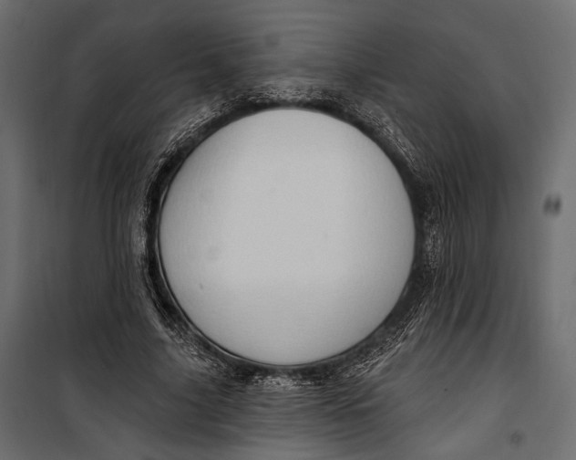 X0000100330635200806191108