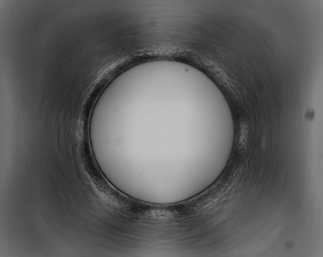 X0000100330636200806191108