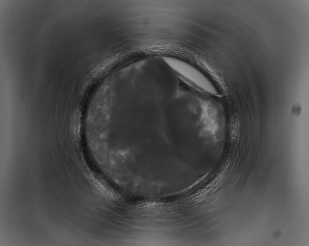 X0000100330637200806191108