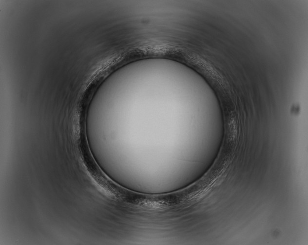 X0000100330638200806191108