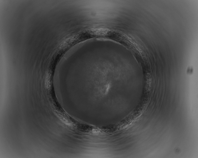 X0000100330641200806191108