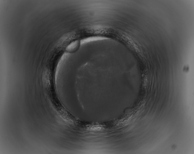 X0000100330643200806191109