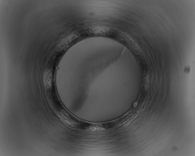 X0000100330644200806191109