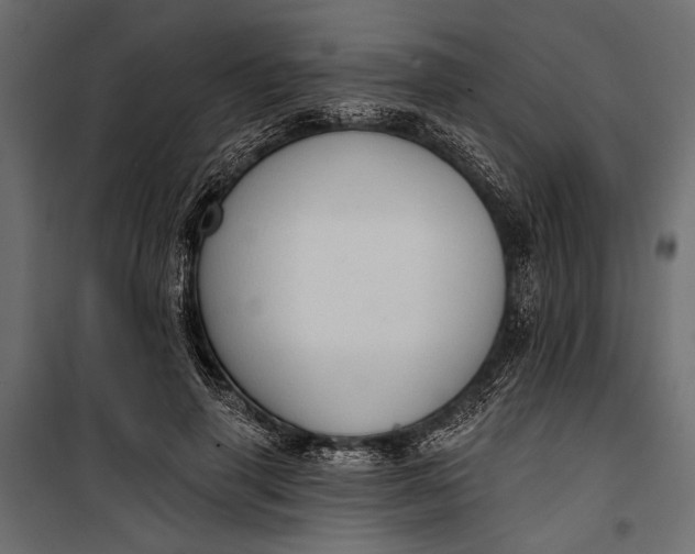 X0000100330645200806191109