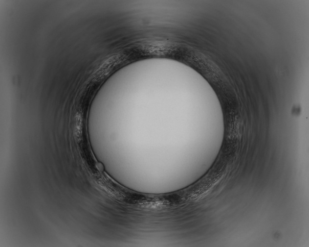 X0000100330646200806191109